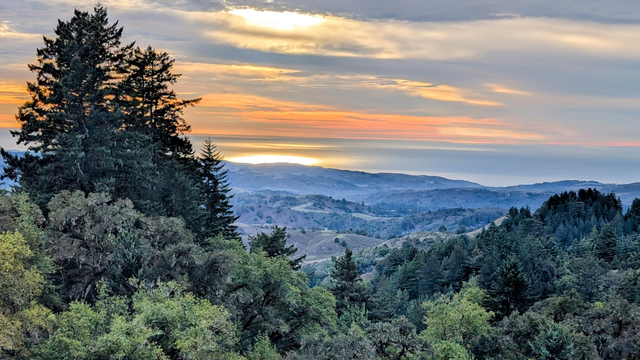 
A scenic landscape at sunset, looking out from a mountain ridge, with layers of rolling hills that descend toward the ocean in the distance.

On the left is a towering cluster of dark green Douglas firs. Below these tall trees and stretching across the bottom of the image is a dense canopy of varied vegetation.

Beyond the immediate forest, the landscape opens up into a series of rolling hills and ridges.

In the far distance, a wide expanse of ocean stretches horizontally across the photo.

A band of  golden light reflects off the water's surface, indicating where the sun is breaking through the clouds above. 

The sky is dramatic and filled with textured clouds.

Above the horizon, there is a band of warm colors: oranges, peaches, and pale yellows.

The gray cloud layer has a large opening where sunlight shines through.

(I asked AI for help in describing this image but heavily re-wrote the result to be more accurate and less over-the-top).
