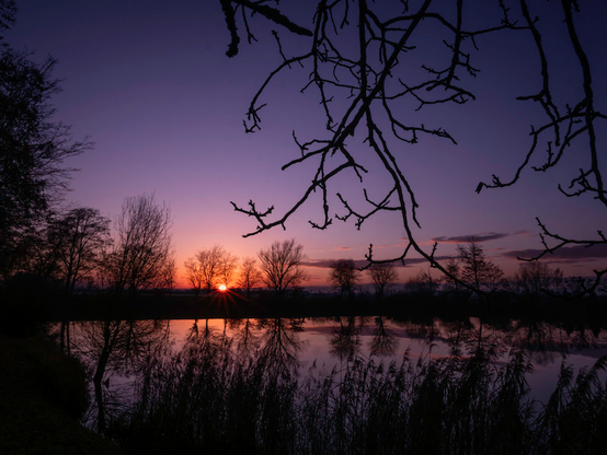 Ein Sonnenuntergang Szene an einem kleinen See. Die Sonne ist fast untergegangen und am unteren Horizont leuchtet es orange. Je weiter man vom Himmel nach oben schaut wird es violett. Im Vordergrund sieht man Äste von einem Baum der rechts ausserhalb vom Bild steht. Im Vordergrund kann man Schilfgras erkennen.Der Himmel wie auch die Bäume am anderen Ufer spiegeln sich auf der Wasseroberfläche.

