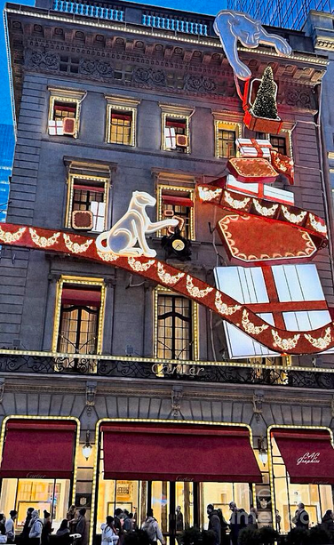 Holiday Display and Lights  NYC