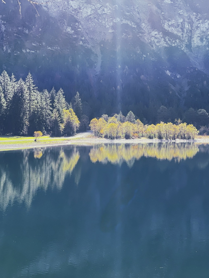 Bäume und Büsche in der Sonne, dahinter dunkel ein steiler Berg, davor ein spiegelglatter See mit Spiegelbild