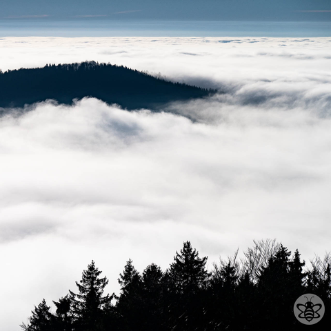 Moře mraků / Cloud Sea #CloudSea #sea #clouds #nature #landscape #winter #photo #Photography #landscapephotography #CzechRepublic #CzechLandscape #Czechia