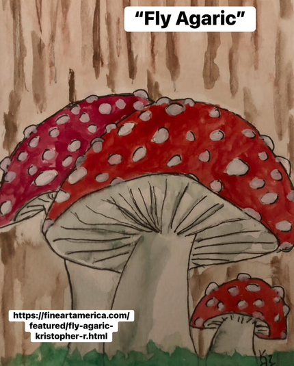 https://fineartamerica.com/featured/fly-agaric-kristopher-r.html