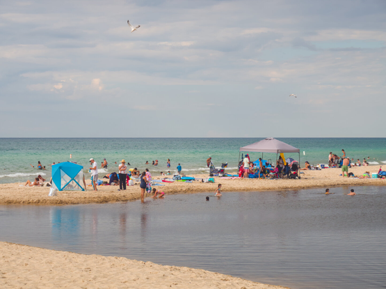 Many people are on a beach on a cloudy day. Two sea gulls are soaring in the sky.
