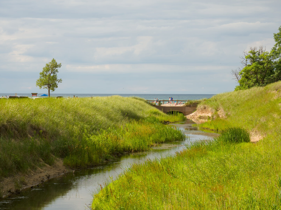 A small stream winds through thick grass towards Lake Michigan.
