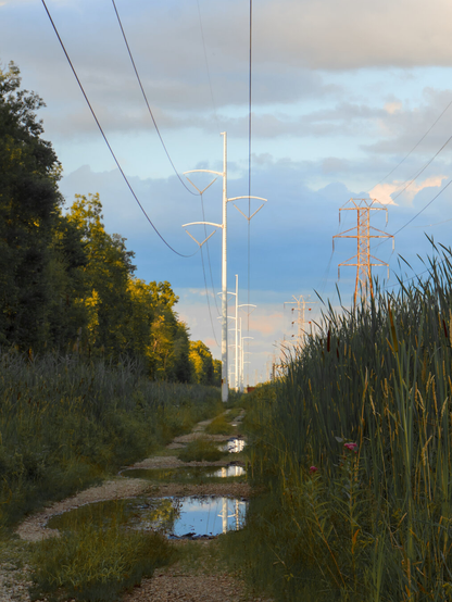 Along a gravel path, puddles reflect the power line poles. The path is lined with tall grass.