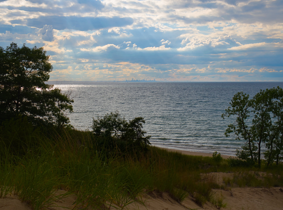Looking back at the Chicago skyline from afar. In the foreground is the beach by Lake Michigan, which has a lot of grass and some small trees.