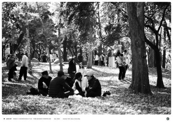 낙엽이 쌓인 공원에 좌측엔 사진을 찍어주는 커플, 우측엔 아이드를 들고 단풍놀이를 즐기는 가족, 앞에는 돗자리를 깔고 단풍을 즐기는 노인들, 그 뒤로 단풍을 바라보는 아이와 부모가 있음.