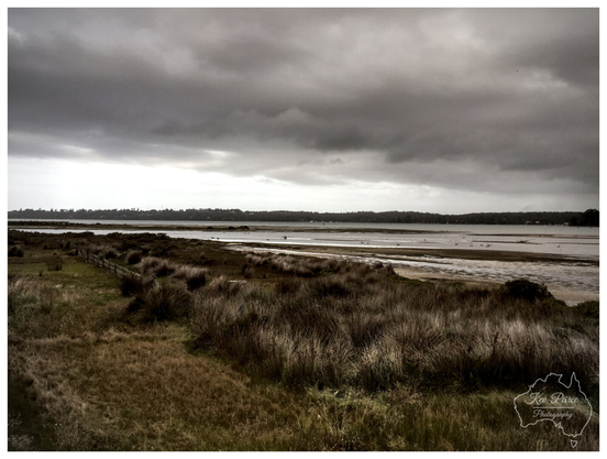 Wide shot of a coastal area or estuary under a heavy, dark gray sky. Foreground features tall, dry grasses and shrubs. A wide expanse of shallow water or mudflats leads to a distant treeline on the horizon.