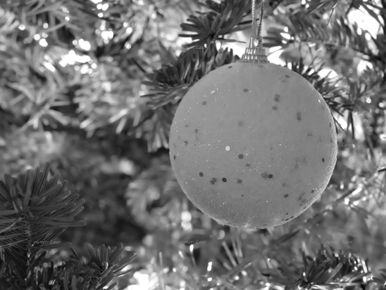 Christmas lights, closeup, black and white, photo