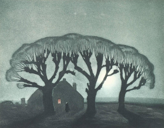 A dark, moody landscape featuring two large, leafless trees silhouetted against the sky. A small house is visible, with a lit window giving off a warm glow. A figure stands near the house, potentially adding a sense of mystery to the