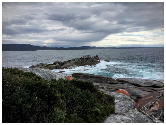 A dramatic, wide shot of Binalong Bay, Tasmania, on a moody, overcast day. In the foreground, dark green coastal shrubs frame a collection of large, grey granite boulders with characteristic orange lichen patches.  Beyond the rocks, white waves crash against a larger, dark rock formation jutting out into the ocean. The turbulent, grey blue sea stretches to the horizon under a heavily clouded sky. Distant hills are visible on the left.