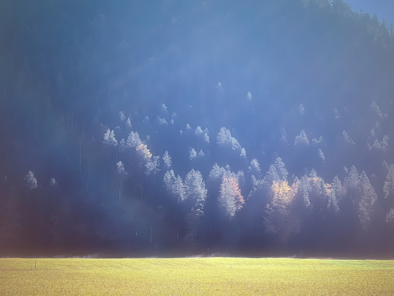 Grüne Wiese und Berg mit Wald in sehr schräg einfallendem Sonnenschein, alles sehr im bläulichen Dunst