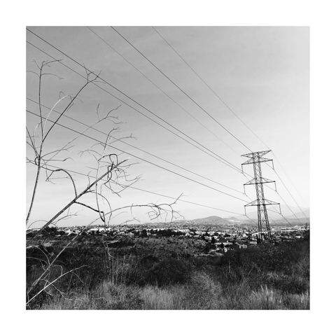 B&W photo of an electric tower in a small town over a hill where there are bushes and branches.
