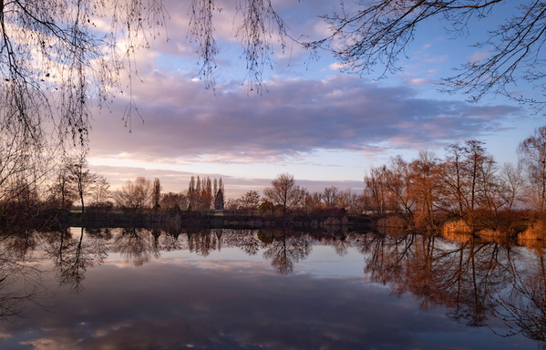 Ein Blick über einen kleinen See , zu der anderen Uferseite. Durch die tiefstehende Sonne bekommt diese Aufnahme ein besonders weiches, orangenes Licht. Die Wolken am Himmel , wie auch die Bäume und Sträucher, spiegeln sich auf der glatten Wasseroberfläche wieder. Im Vordergrund ragen von rechts, wie auch von links, Äste in das Bild und so entsteht ein natürlicher Rahmen.
