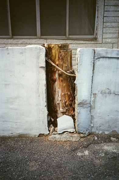 하얀색 낡은 담장이 사이에 뎅겅 잘려 줄기만 덩그러니 남은 나무가 있다. 담장과 잘린 나무의 높이가 의도적으로 맞춰진 것처럼 보인다. 뒤쪽으로 주택 창문이 있다.