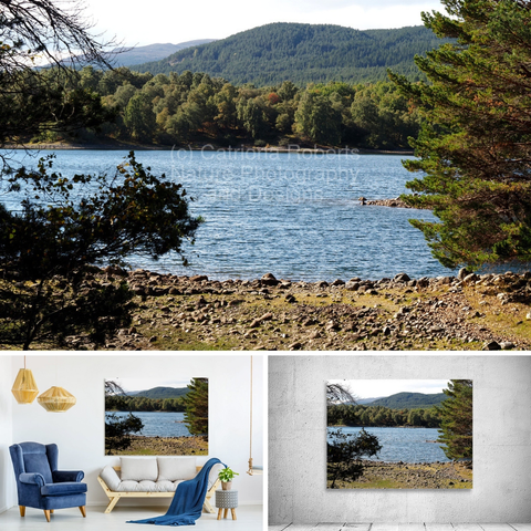 Above coloured photograph featuring the design- 

Loch Vaa's Mountain Scene.

Lower left design on a Canvas Print on a wall above a couch. 

Lower right design on a Canvas Print on an exhibition wall.

I took this photo during a lovely summer nature walk through the Scottish Highlands. 

Features a serene Loch Vaa surrounded by lush forests and distant mountains.

Sunlight reflects off the water. 

Mockups  combined in a grid format in canva.com

Click links on the main post for options.
