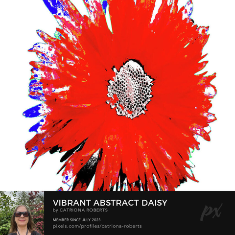 Coloured composition featuring the design- 

Vibrant Abstract Daisy.

I originally took a close up photo of a Daisy flower and a hand painted acrylic, laterally combining both, and digitally edited ( using the background remover and layering options in canva.com) these to create this stunning piece of contemporary floral art.

Features a striking red Daisy with bold, vibrant colors bursting from a white background. 

The petals are abstractly rendered, adding a dynamic and lively feel. 

Click links on the main post for options.
