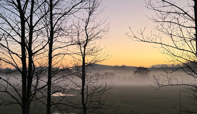A low hill in the distance, fields and trees bathed in the soft sunset observed through the silhouette of trees