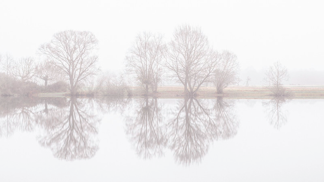 Man sieht auf das gegenüber, im Nebel liegende Ufer von einem See. Dort stehen direkt an der Wasserkante diverse Bäume und Sträucher. Diese spiegeln sich auf der Wasseroberfläche vom See.