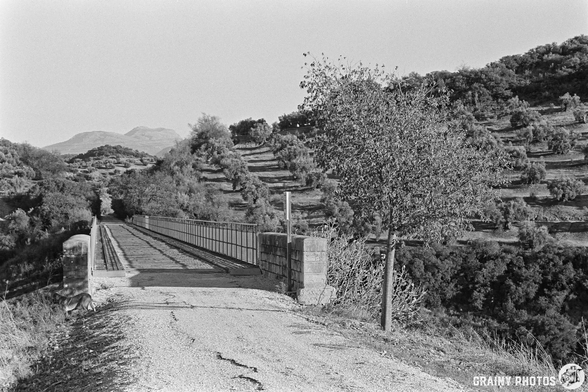 A serene landscape featuring the Via Verde and Víaducto Sobre El Arroyo del Higueral, surrounded by rolling hills and terraced olive groves. A solitary tree stands near the bridge, with mountains visible in the background, captured in black and white.