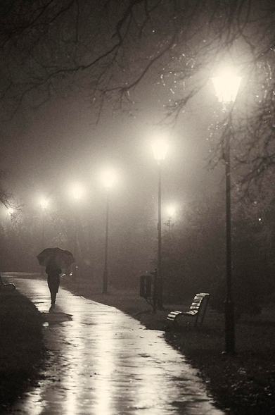 In the early morning calm, a solitary figure carrying an open umbrella walks away along a shiny, rain-soaked path in the park. Their small, dark silhouette is etched against the soft glow of old-fashioned lampposts, their light blooming gently through the dense, lingering fog. The path curves gently into the distance, with lampposts lining one side. Their glow grows weaker and more blurred with every step into the mist. Empty benches sit silently at the edge of the walkway, adding to the sense of quiet and abandonment. 