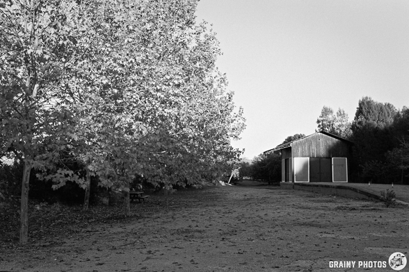 A quiet rustic scene featuring tall trees with autumn leaves. In the background, an old railwayt building stands, complemented by surrounding greenery and soft light creating a serene atmosphere.
