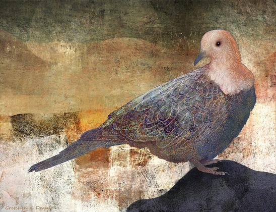 On a highly textured background of golds, rust and greens, stands a single mourning dove in muted blues, grays and peach.