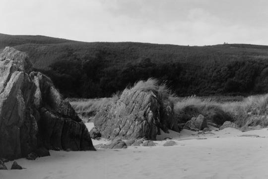 Yashica MAT124G | Kodak Tri-X 400 | Shot at 320 + Med Yellow Filter | Developed in XTOL

Some rocks and grass at the Singing Sands