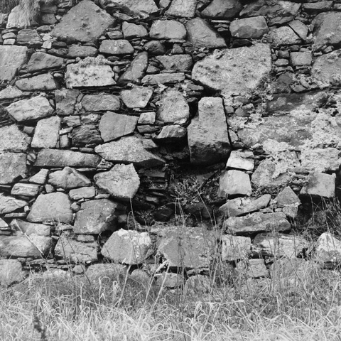Yashica MAT124G | Kodak Tri-X 400 | Shot at 320 + Med Yellow Filter | Developed in XTOL

An inset in the stone at Dunyvaig castle with a fern growing in it