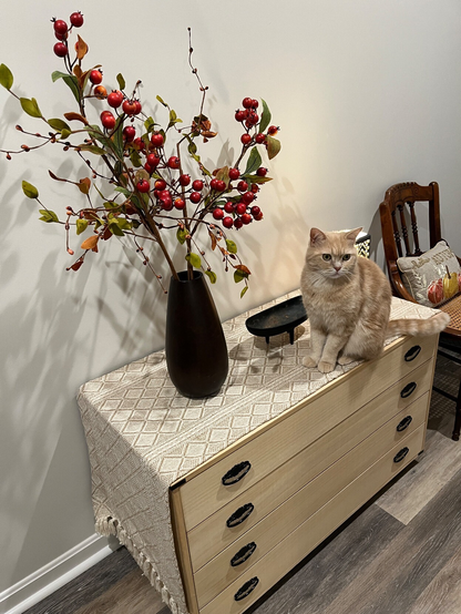 Cream Tabby on a Japanese tansu (kimono cabinet) with a flower arrangement on top