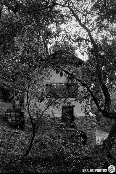 A rustic stone house partially obscured by trees and foliage, set in a natural landscape. The image is in black and white, emphasizing the textures of the building and surrounding vegetation.