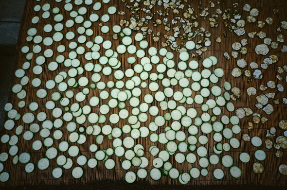 펼쳐진 대나무 발 위에 동그랗게 썰린 애호박 조각이 널려있다. 오른쪽 위에는 말려서 쭈글쭈글하게 변한 애호박들이 있다.