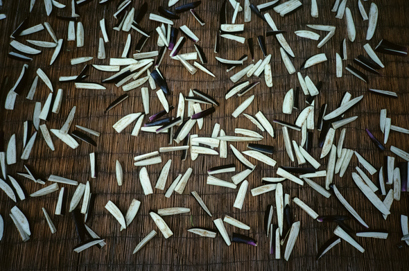 펼쳐진 대나무 발에 기다랗게 썰린 가지 조각이 널려있다.