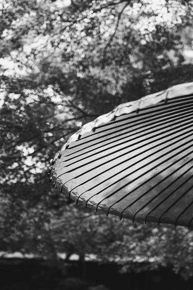 A black and white photo of a parasol that was originally red in a foresty area. The photo was taken in Nara, Japan. It was a nice warm day. The photo was taken during our lunch break. We had simple udon and the deer kept us company