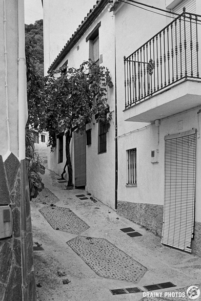 A narrow, cobblestone alleyway lined with white-washed buildings, featuring a vine-draped tree and a balcony. The scene is captured in black and white, emphasizing the texture and architectural details of the surrounding walls.