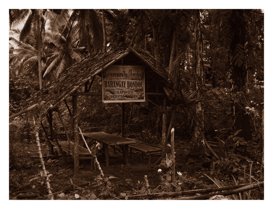 A rustic, open-air shelter situated in a lush tropical setting. The structure features a thatched roof and is furnished with bamboo benches and a table. A prominent sign hanging from the roof reads "Community Garden, BARANGAY BONDOC, CALAPAN CITY, ORIENTAL MINDORO." The shelter is surrounded by dense vegetation and tall coconut palm trees. - Google Gemini 3 Pro Preview