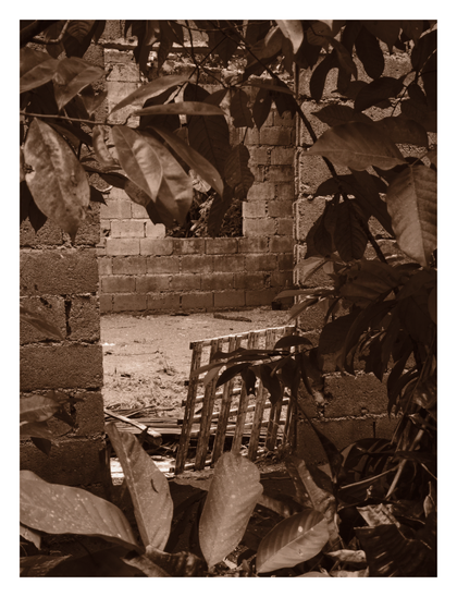 An unfinished or abandoned structure made of concrete hollow blocks. The view is framed by large, dark foliage in the foreground, looking into an open doorway blocked by a leaning, makeshift wooden gate. Inside, the room is empty with rough walls and a window opening in the back. - Google Gemini 3 Pro Preview