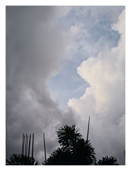 A dramatic sky where dark, heavy gray clouds on the left contrast with bright, billowy white clouds on the right. Between these cloud masses, a patch of soft blue sky is visible. At the bottom of the frame, the dark silhouettes of foliage and vertical construction rods (rebar) stand out against the bright sky. - Google Gemini 3 Pro Preview