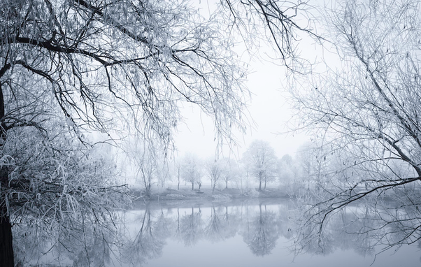 Ein Blick zwischen zwei Bäumen auf einen kleinen See und das gegenüberliegende Ufer. Der Raureif hat eine kalte Winterlandschaft erzeugt. Die Bäume am anderen Ufer spiegeln sich auf der glatten Wasseroberfläche. 
