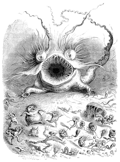 A monstrous figure with big round eyes, a mouth wide open like that of a fish, and a tail resembling an octopus’s tentacle comes forward, scaring a swarm of smaller creatures.