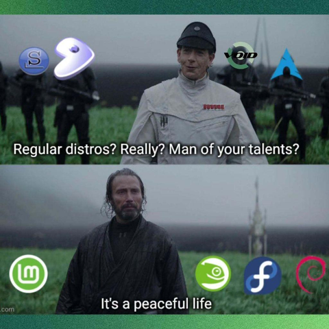 Slide 1:

Regular distros? Really? Man of your talents?

There is a picture of a man in white asking the question with four people behind him with the logos for Slackware, Gentoo, Void Linux, and Arch Linux on their faces.

Slide 2:

It's a peaceful life

There is a picture of a stoic-looking man with the logos for Linux Mint, openSUSE, Fedora, and Debian beside him.