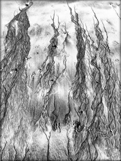 A black and white photograph showing vertical rivulets carved in sand from the interactions of water and sand. The rivulets resemble long intertwines sections of fine hair as they pass vertically through the frame.
