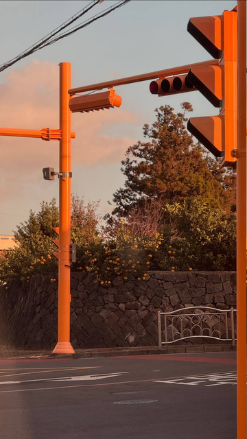 길가다 찍은 신호등부터 하늘까지 귤오렌지 세상