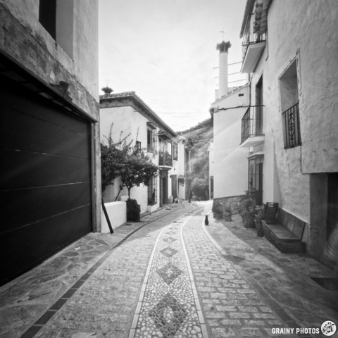 A narrow, cobblestone street winds through Benelauría, flanked by white-washed buildings with balconies. The scene is captured using a pinhole camera in black and white, evoking a serene atmosphere as the street leads towards distant greenery.