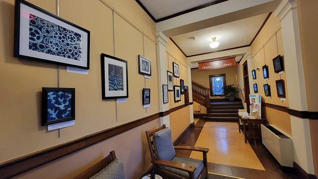 Cyanotypes by Lisa Shea at the Charlton Public Library