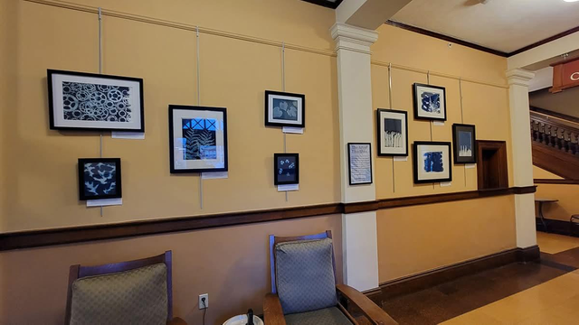 Cyanotypes by Lisa Shea at the Charlton Public Library