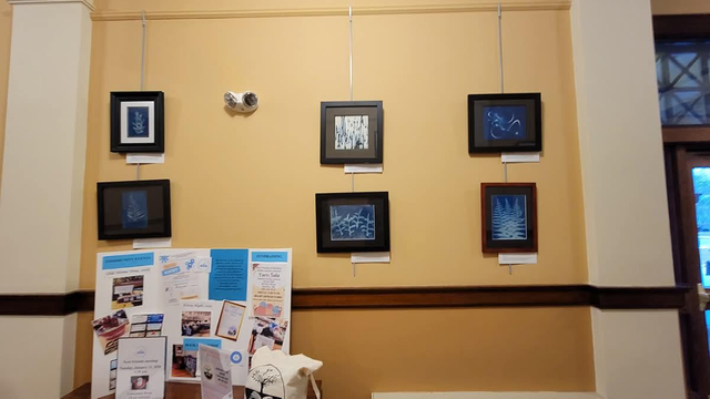 Cyanotypes by Lisa Shea at the Charlton Public Library