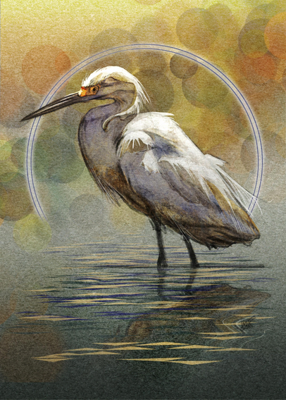 Illustration of an Egret wading in water. Behind the bird is a green paper texture with gradients in a darker green and a golden yellow at the top and bottom. Surrounding the bird is a halo of light with a bokeh lighting effect in oranges, blues, and browns. 