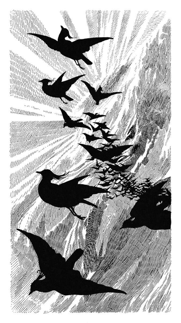 A scattering flock of lapwings is silhouetted against the radiant early morning sky.