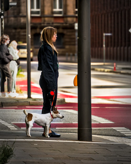 Eine junge Frau steht kerzengerade an der Ampel. Sie führt einen kleinen Hund an der Leine, der ebenso kerzengerade neben seinem Frauchen steht und sich nicht rührt. Im Gegensatz dazu stehen im Hintergrund zwei Personen an der Ampel, die sich mit angewinkeltem Bein und Handy in der Hand eher leger geben. 
.
Dies ist die bunte Version des Bildes.  